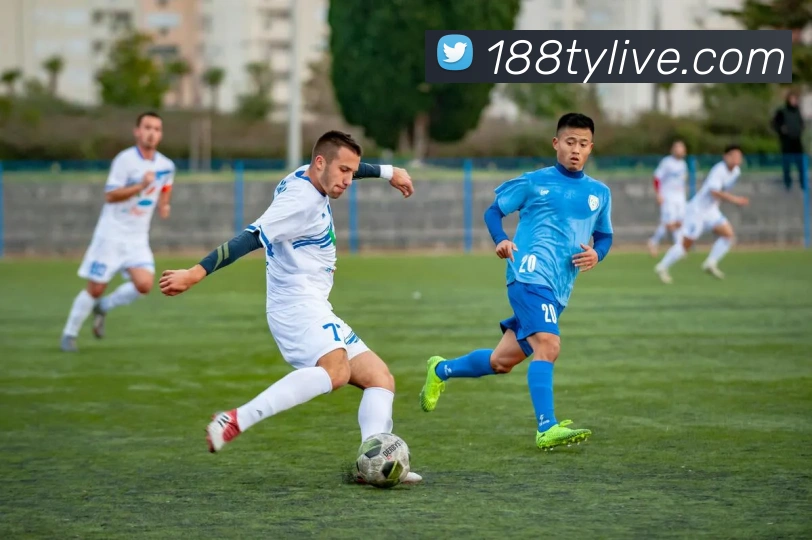 188体育平台生态图