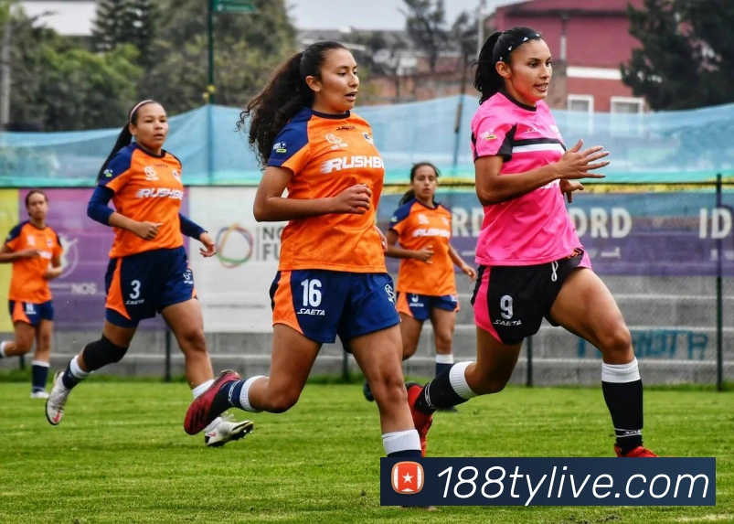 188体育APP 封面图